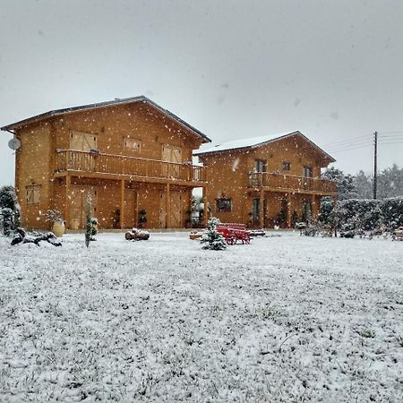 Ampelokipoi  Kastor Chalets מראה חיצוני תמונה