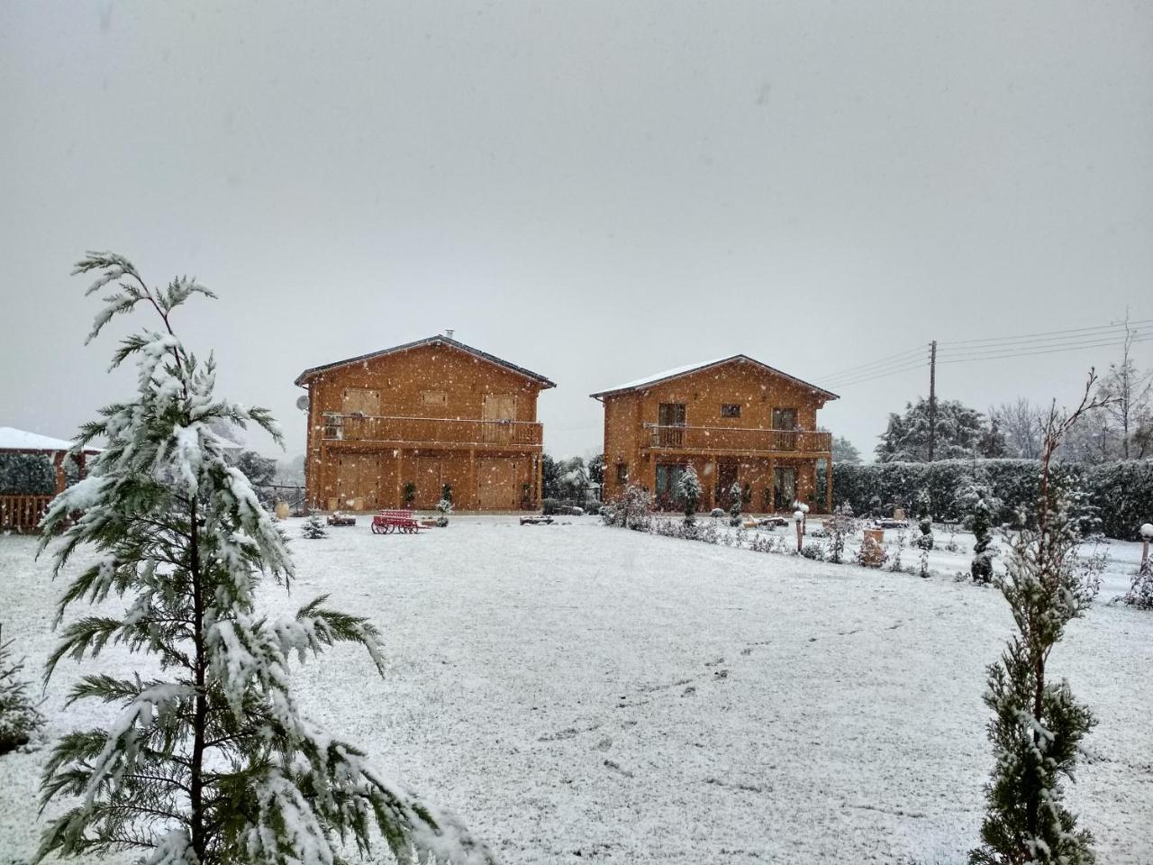 Ampelokipoi  Kastor Chalets מראה חיצוני תמונה