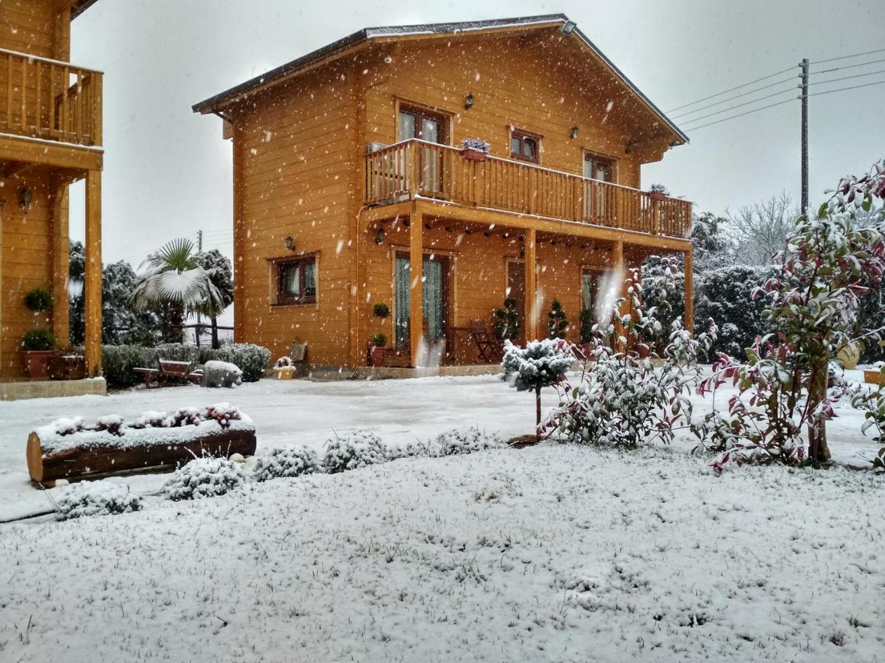 Ampelokipoi  Kastor Chalets מראה חיצוני תמונה