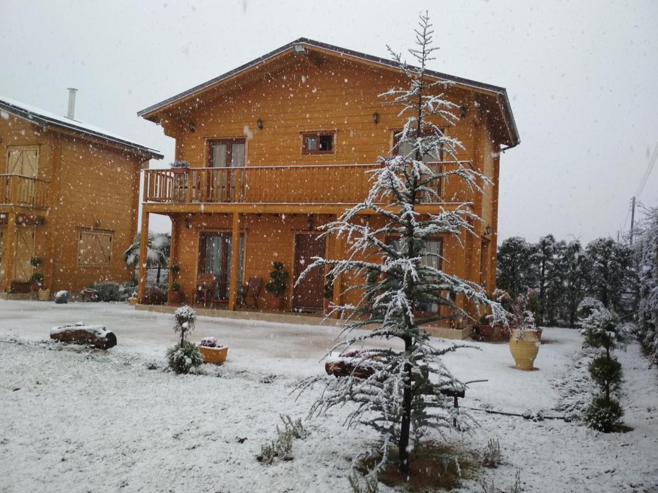 Ampelokipoi  Kastor Chalets מראה חיצוני תמונה