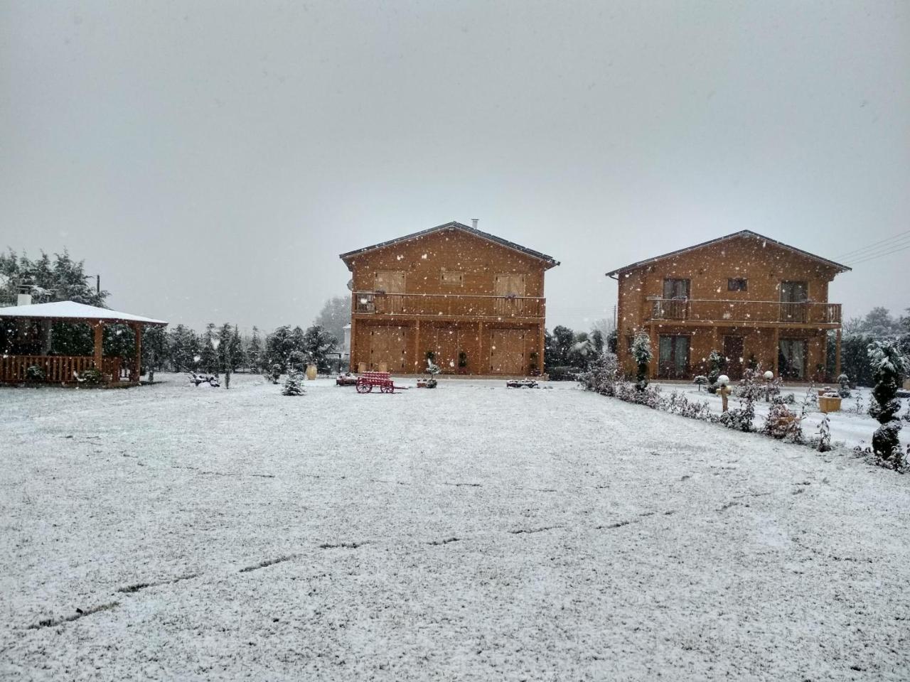 Ampelokipoi  Kastor Chalets מראה חיצוני תמונה