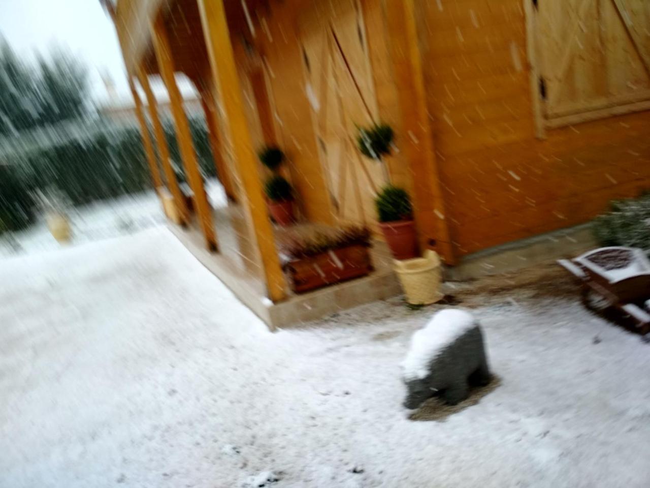Ampelokipoi  Kastor Chalets מראה חיצוני תמונה