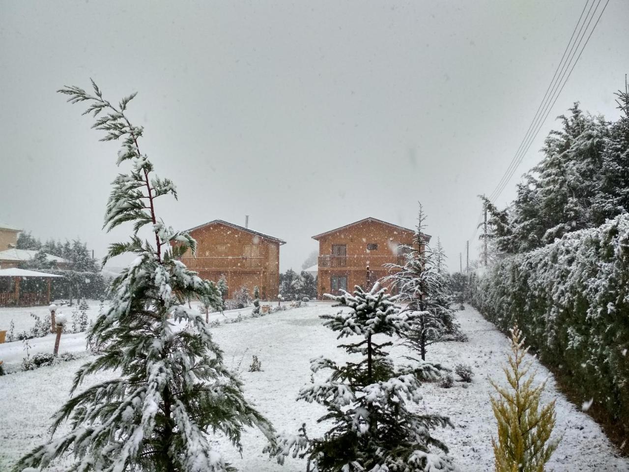 Ampelokipoi  Kastor Chalets מראה חיצוני תמונה