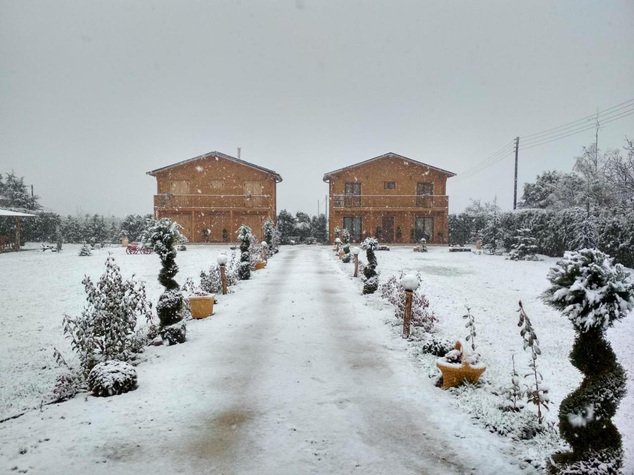 Ampelokipoi  Kastor Chalets מראה חיצוני תמונה
