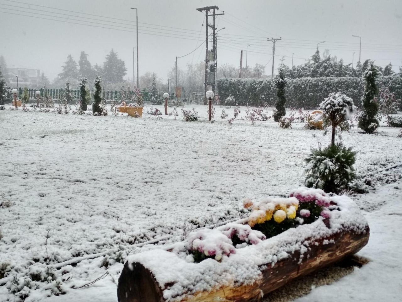 Ampelokipoi  Kastor Chalets מראה חיצוני תמונה